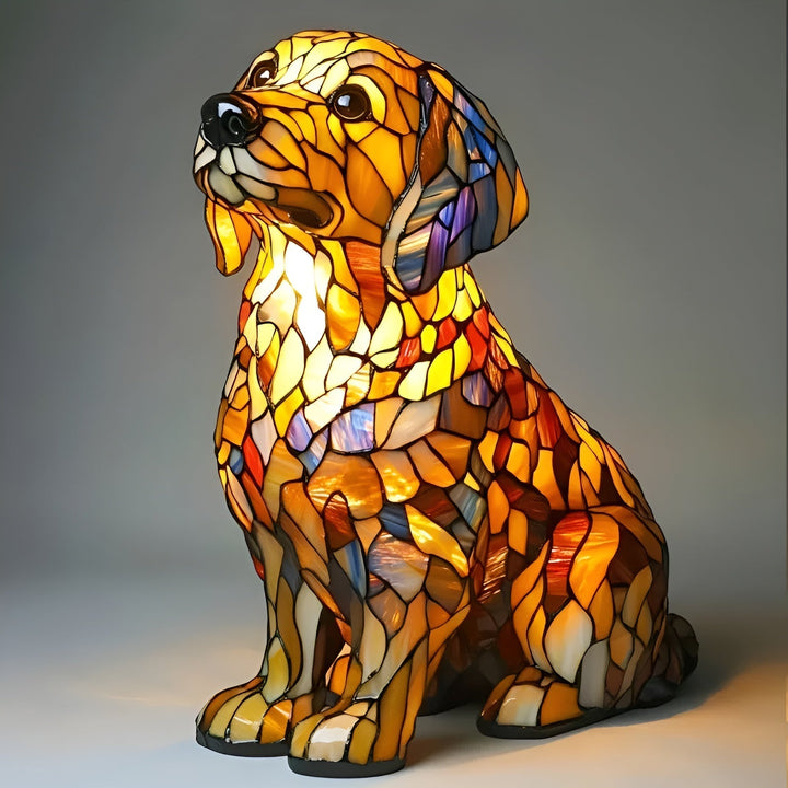 Işık Ruhsal Golden Retriever